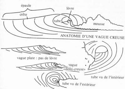 les vagues
